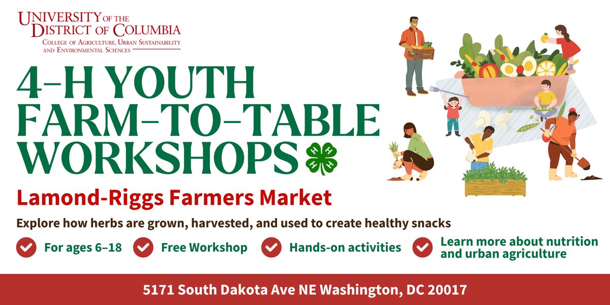 Free Youth Workshop: Farm-to-Table at the Lamond-Riggs Farmers Market