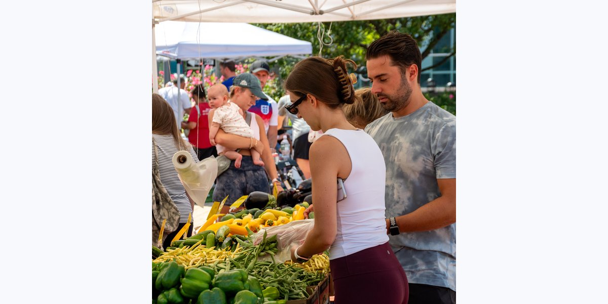 Harbor Point Farmers Market