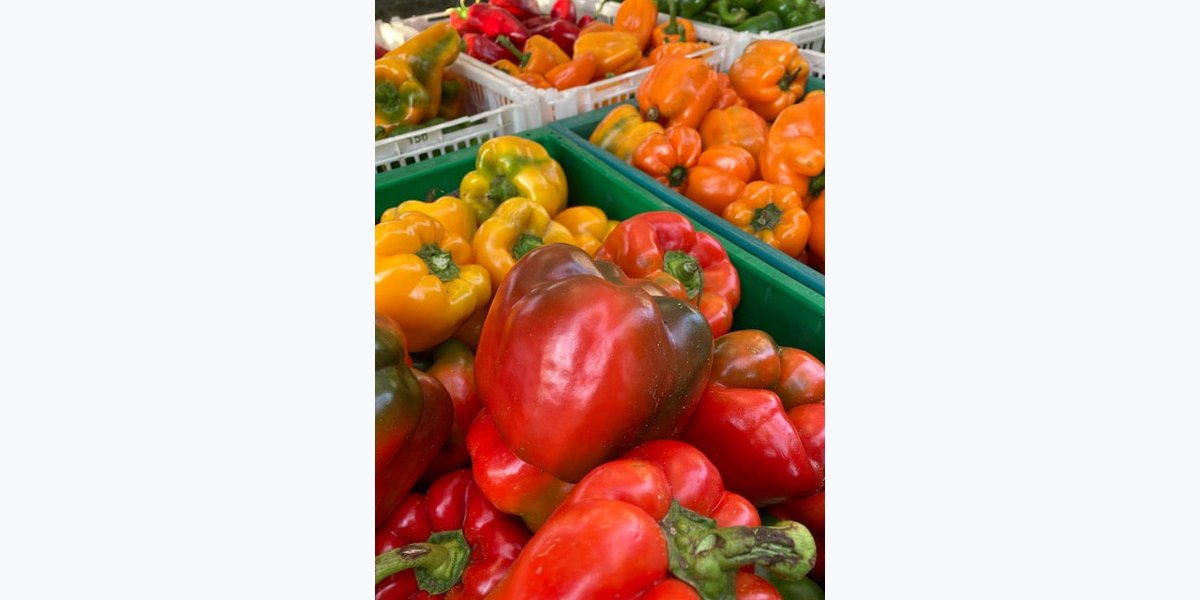 Northampton Saturday Market