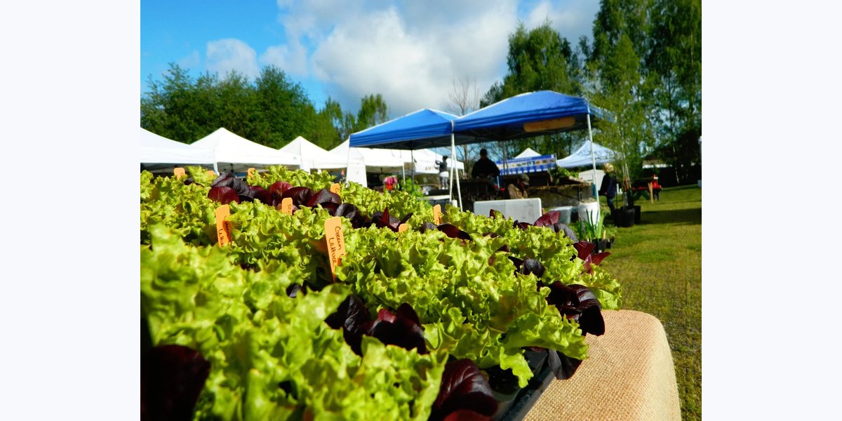 Bayview Farmers' Market