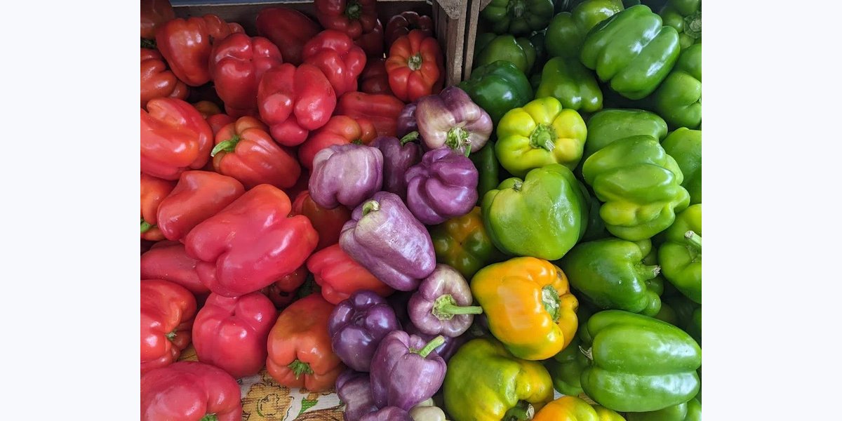 Highland Park Farmers Market