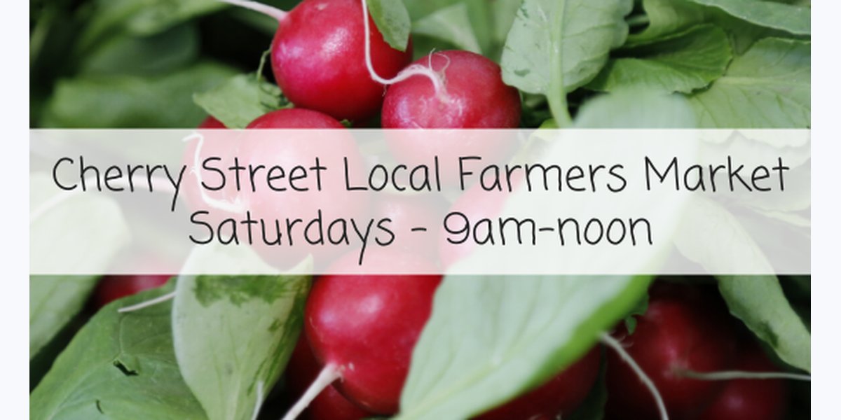 Downtown Troy Farmers Market