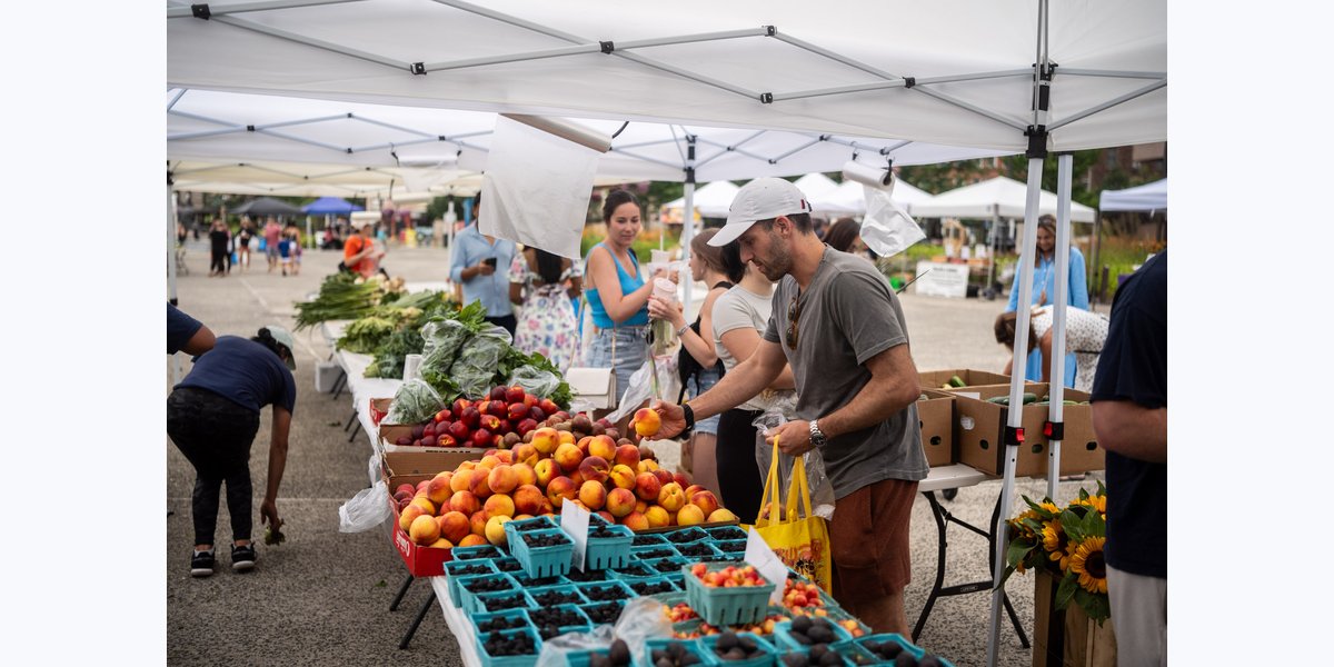Stamford Downtown Farmers' Market