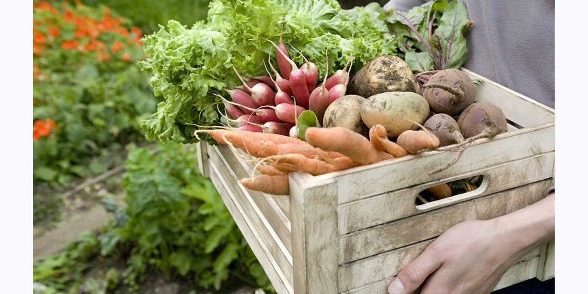 Greenwich Farmers Market