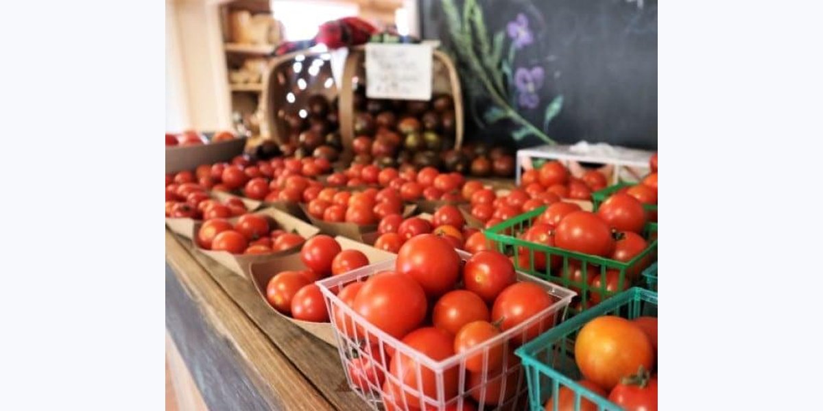 Market at Rockledge Gardens