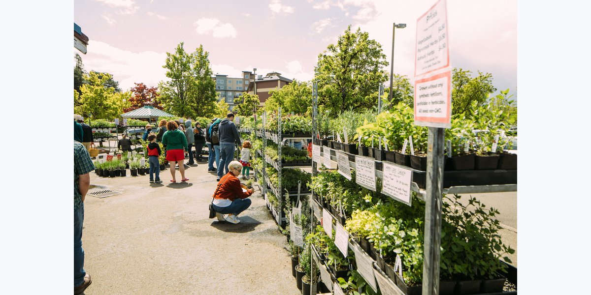 Olympia Farmers' Market