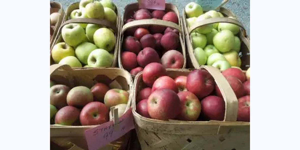 Earlysville Farmers Market