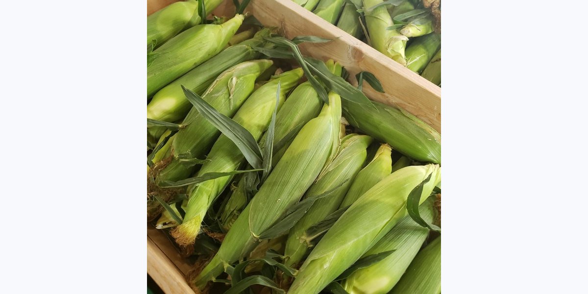 Depot Farm Market