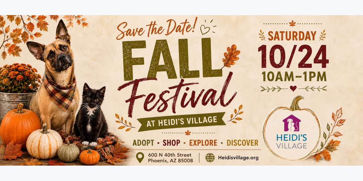 The Village Fall Festival — festival in Phoenix, AZ