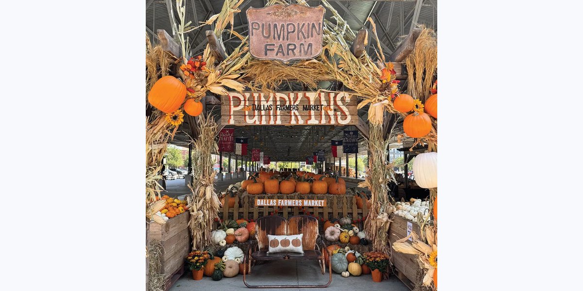 Dallas Farmers Market Fall & Pumpkin Patch in Dallas, TX