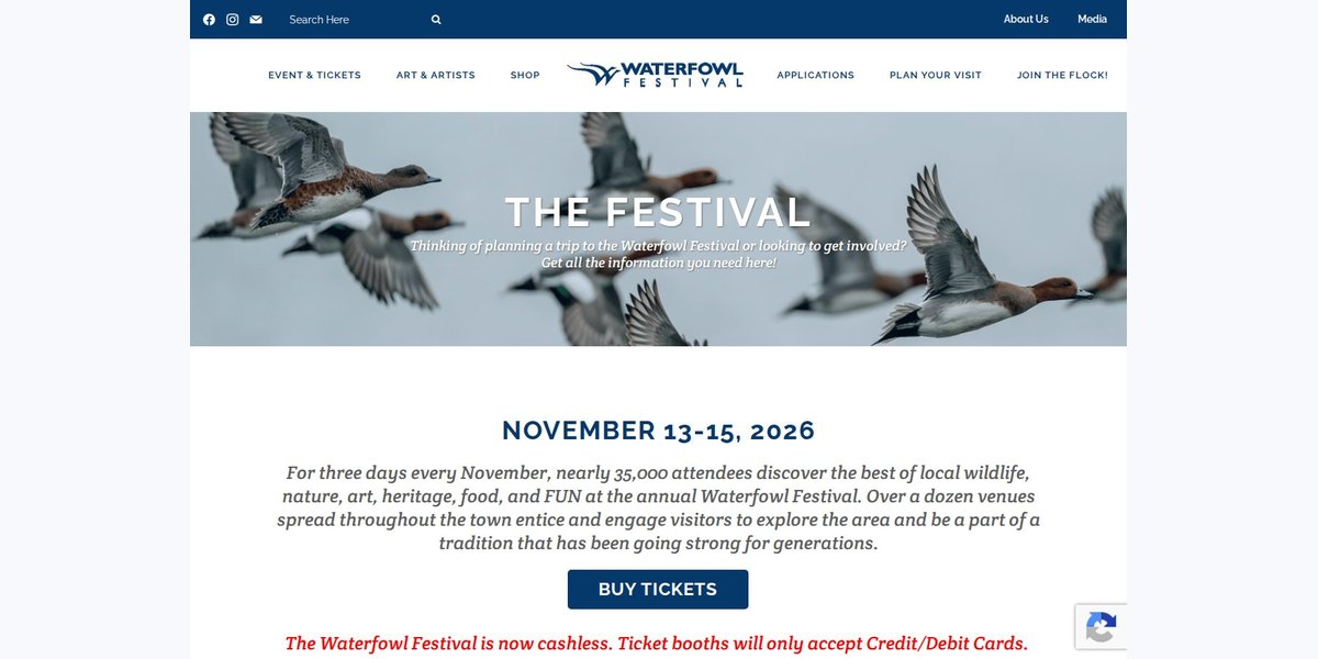 Waterfowl Festival photo in Easton, MD
