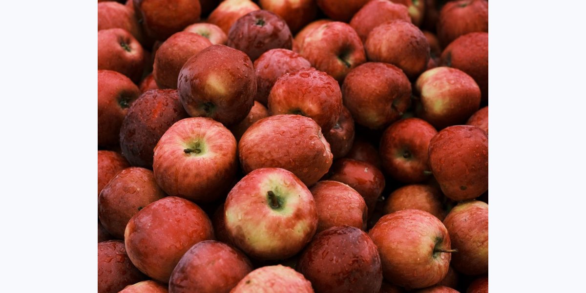 Endicott AppleFest photo in Endicott, NY